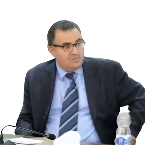 Faouzi Alhamdi General Manager